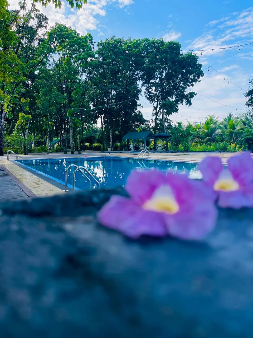 Grand Ballroom Setup
